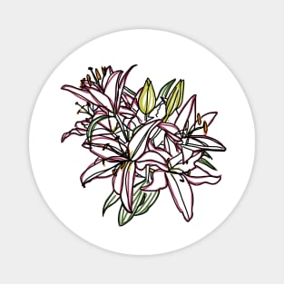 Lily Flowers Color Line Drawing Magnet